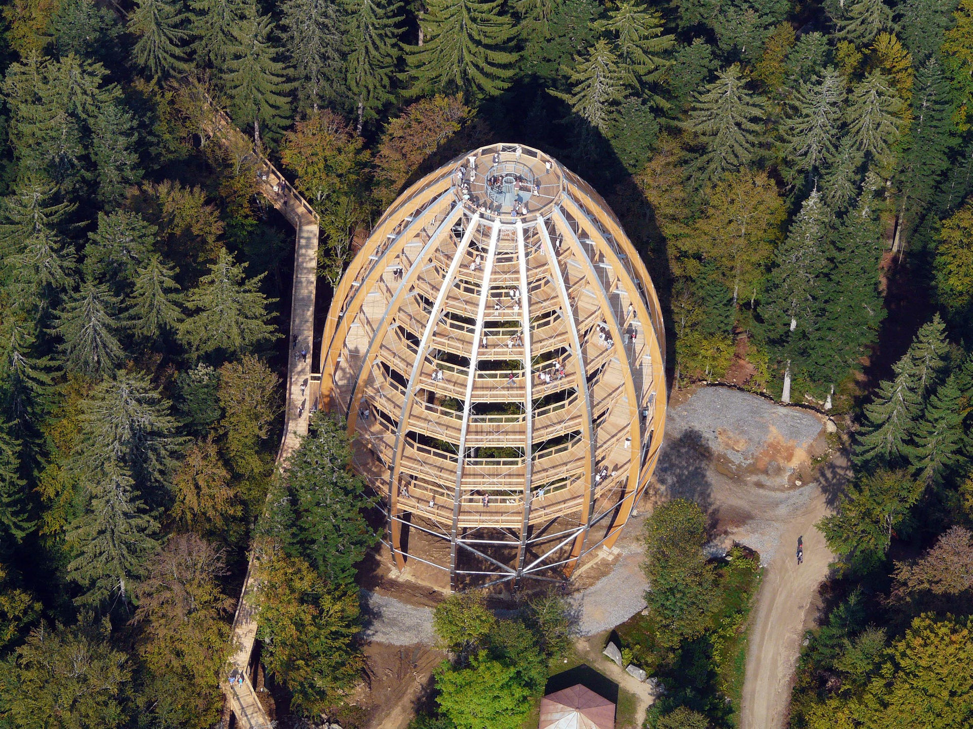 Baumei im bayerischen Wald